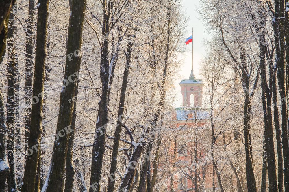 На фотографии изображена аллея зимнего парка, ведущая к Михайловскому замку в Санкт-Петербурге. Деревья покрыты инеем и создают обрамление для вида на замок, на шпиле которого развевается флаг России. Яркий зимний свет подчеркивает белизну снега и тишину этого исторического уголка города. Михайловский замок — уникальный памятник архитектуры, построенный по указу Павла I, окруженный атмосферой тайны и величия.